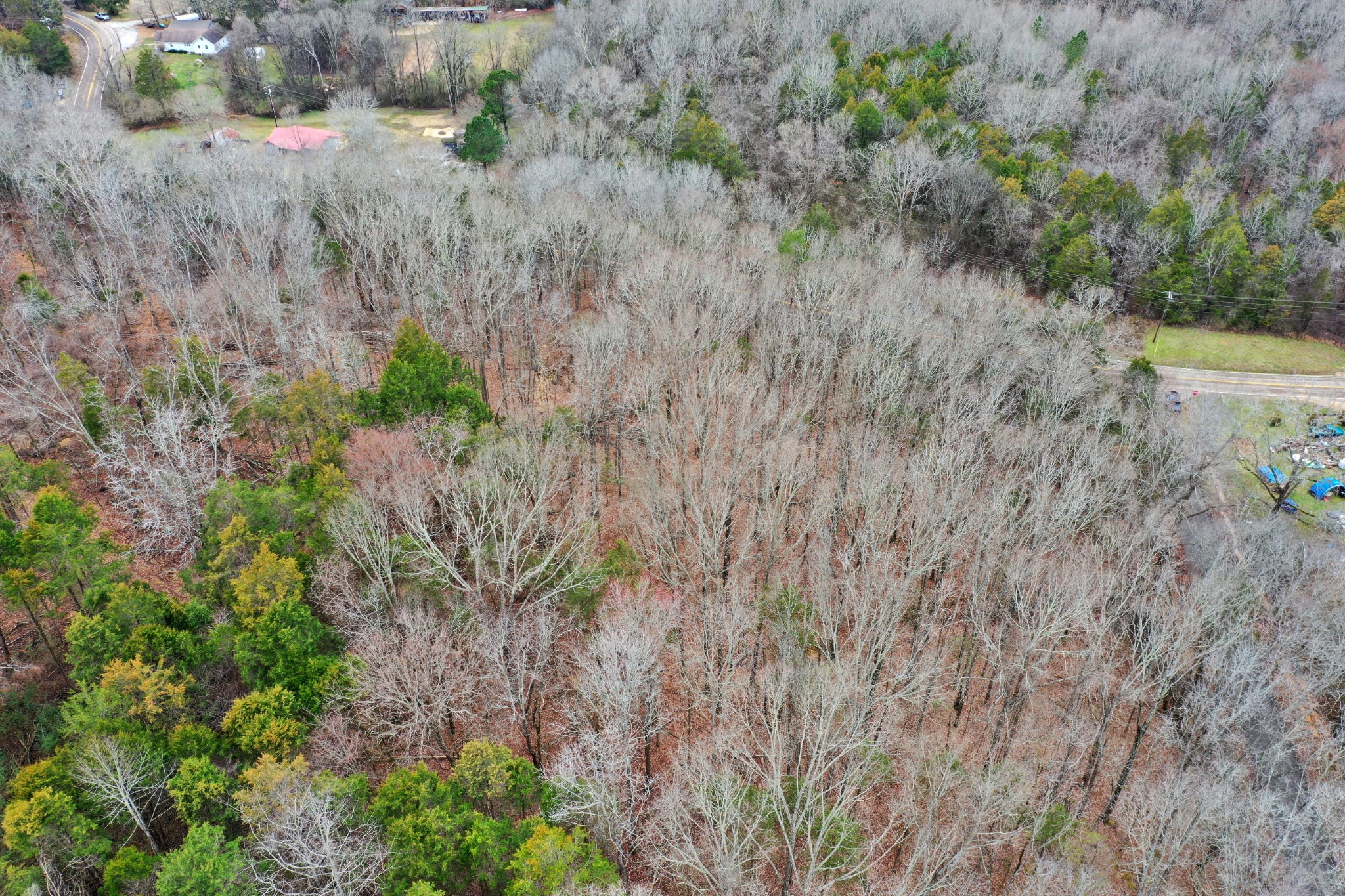 0 Beasley Hollow Road Linden, TN 37096 - Photo 7 of 7 Gallery Image 7