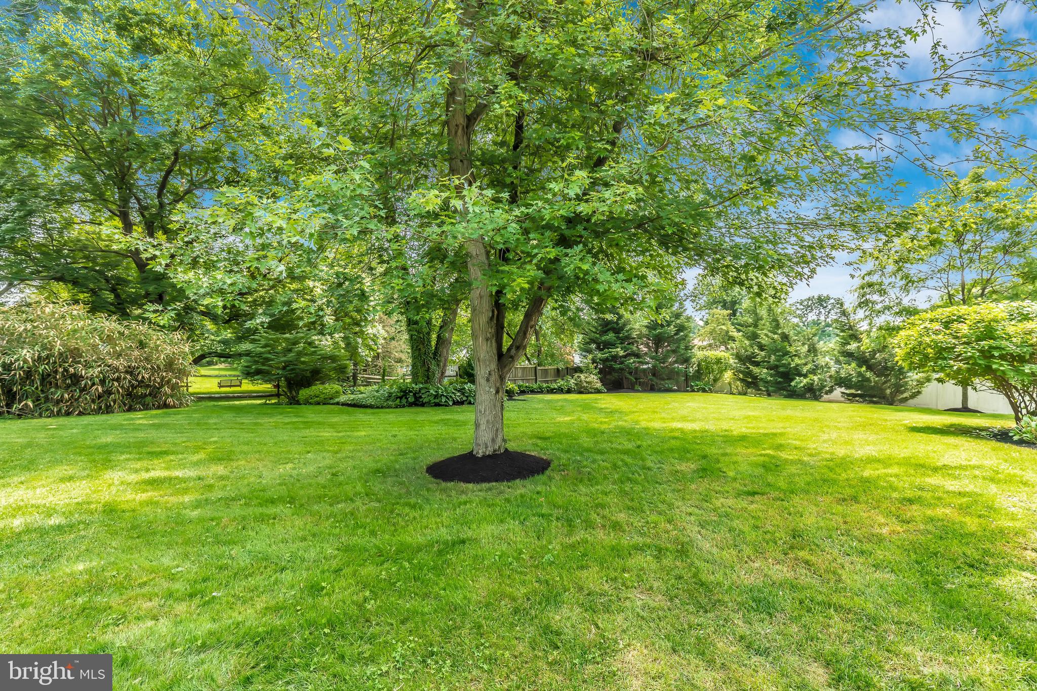116 Pinetown Road Norristown, PA 19403 - Photo 51 of 57 Backyard
