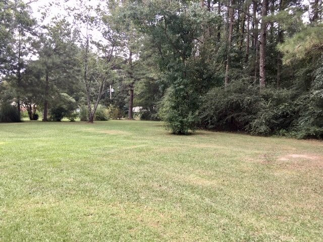 250 Maxie Road Mount Olive, MS 39119 - Photo 6 of 26 Photo 6