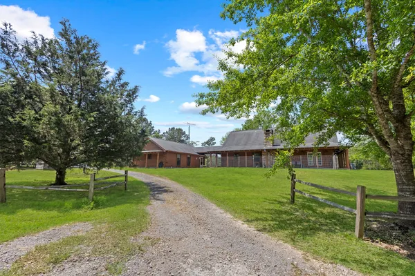 a view of a park with large trees