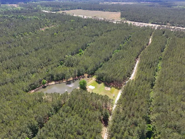 $1,499,999 | 14912 Highway 69, Village Mills, TX 77663