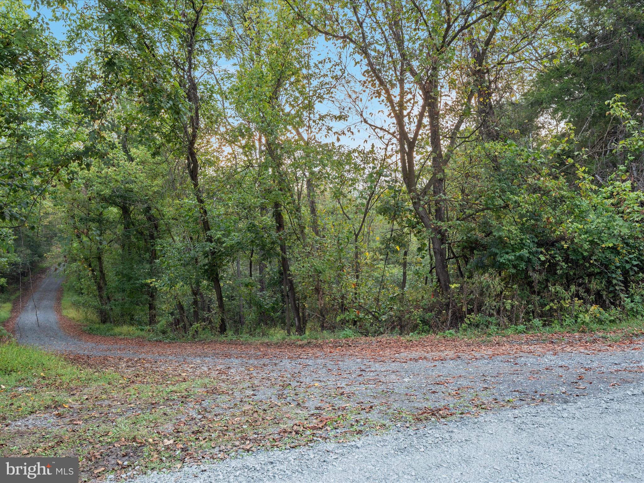 200 Colwood Drive Rileyville, VA 22650 - Photo 14 of 15