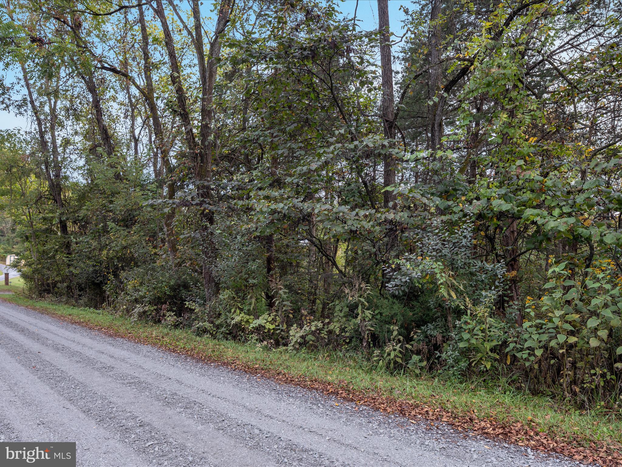 200 Colwood Drive Rileyville, VA 22650 - Photo 15 of 15