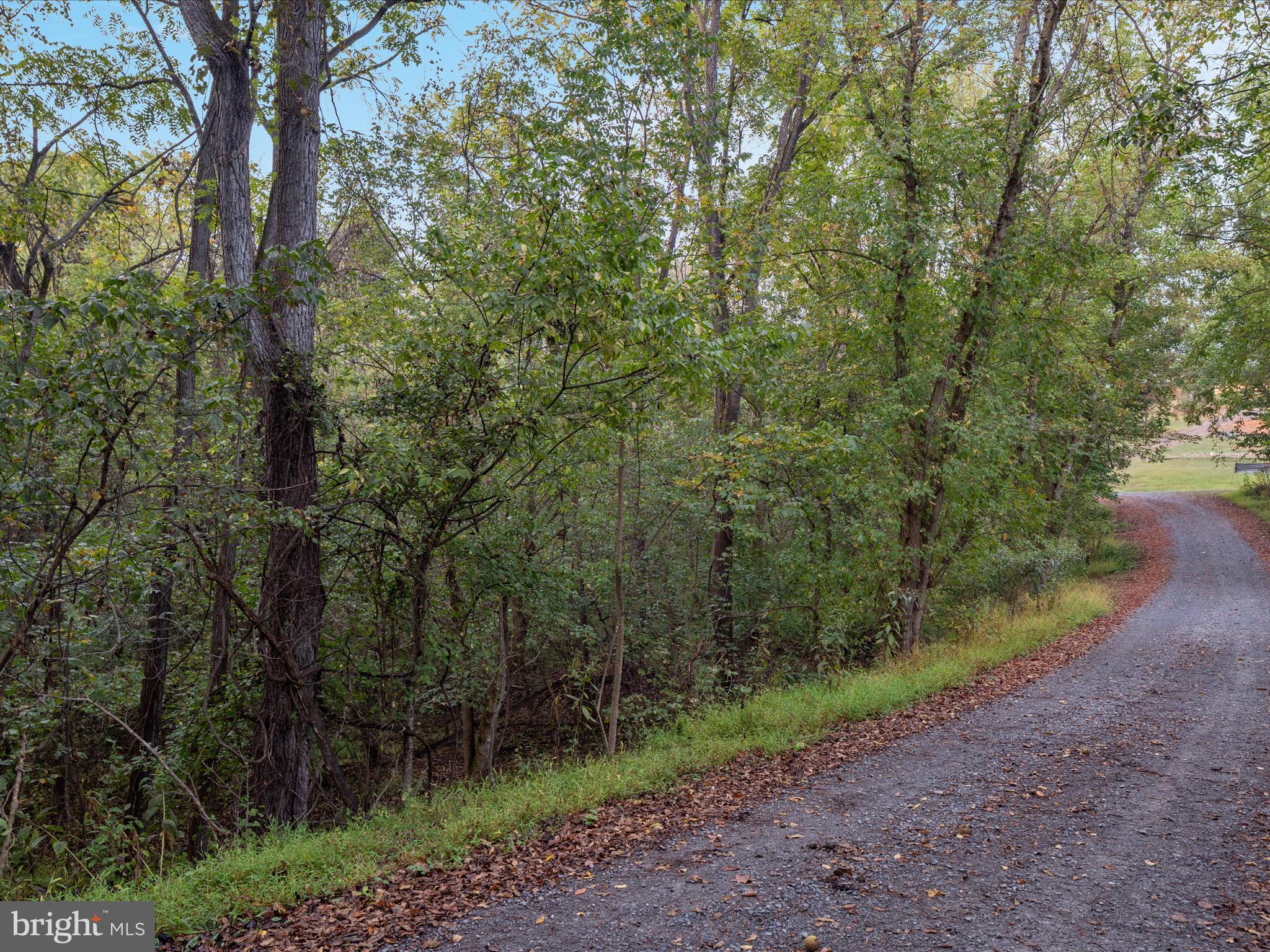200 Colwood Drive Rileyville, VA 22650 - Photo 3 of 15