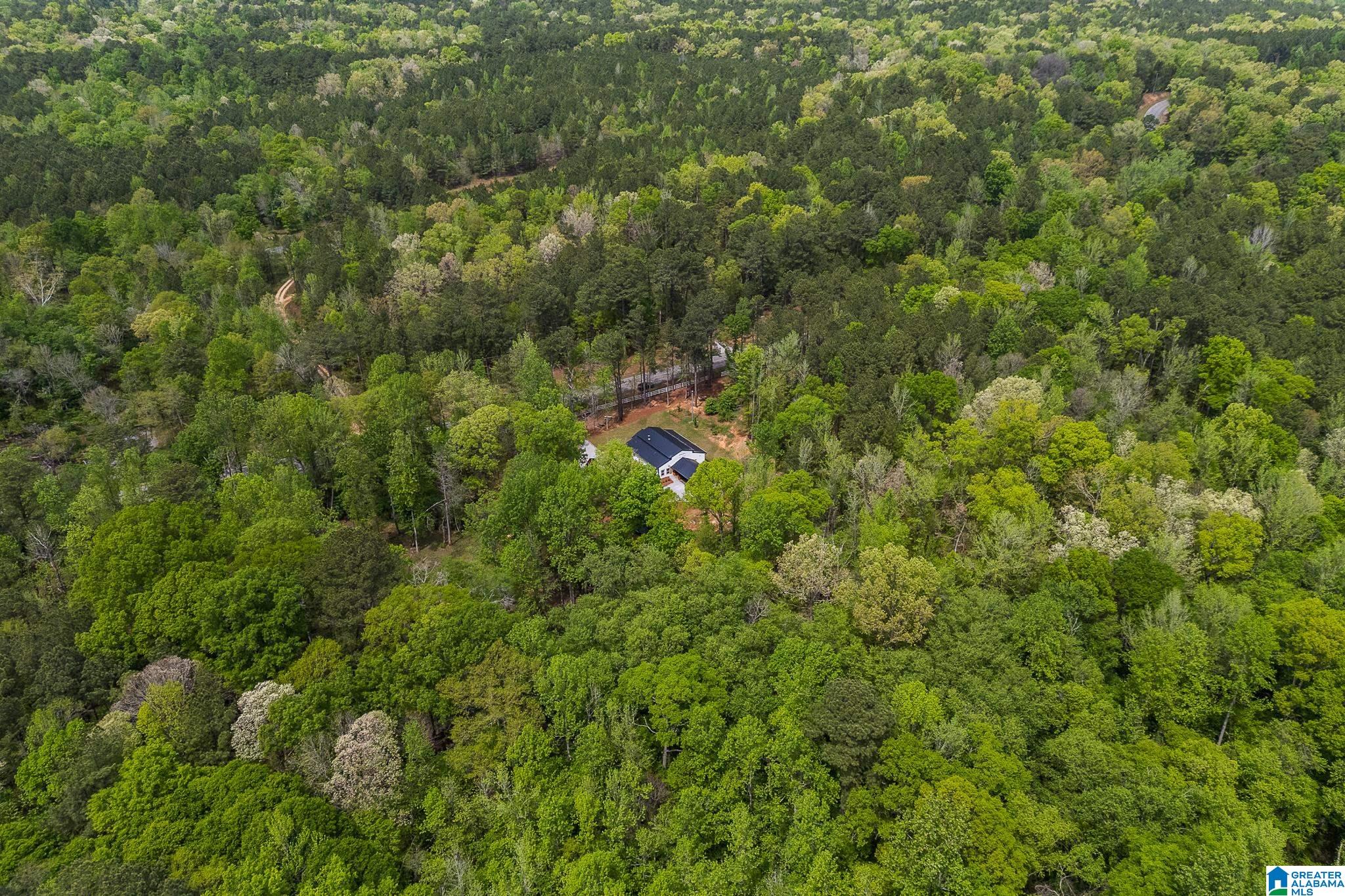 10936 Bear Creek Road Sterrett, AL 35147 - Photo 57 of 58