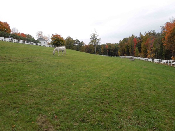 313 Mason Road Ashby, MA 01431 - Photo 27 of 29 Gallery Image 27