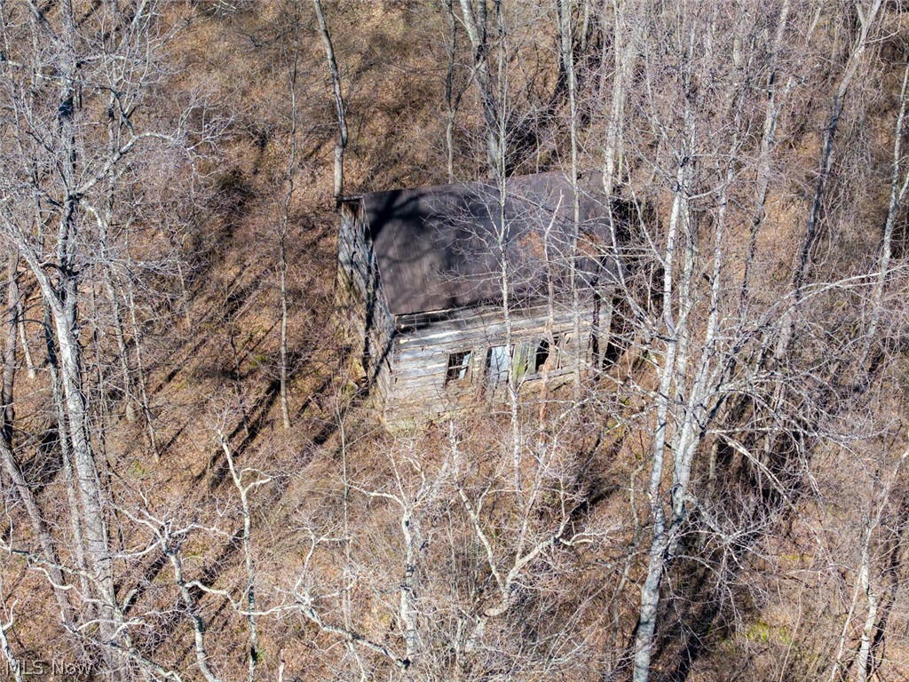0 Clem Garvin Road Caldwell, OH 43724 - Photo 9 of 50 View of local wilderness
