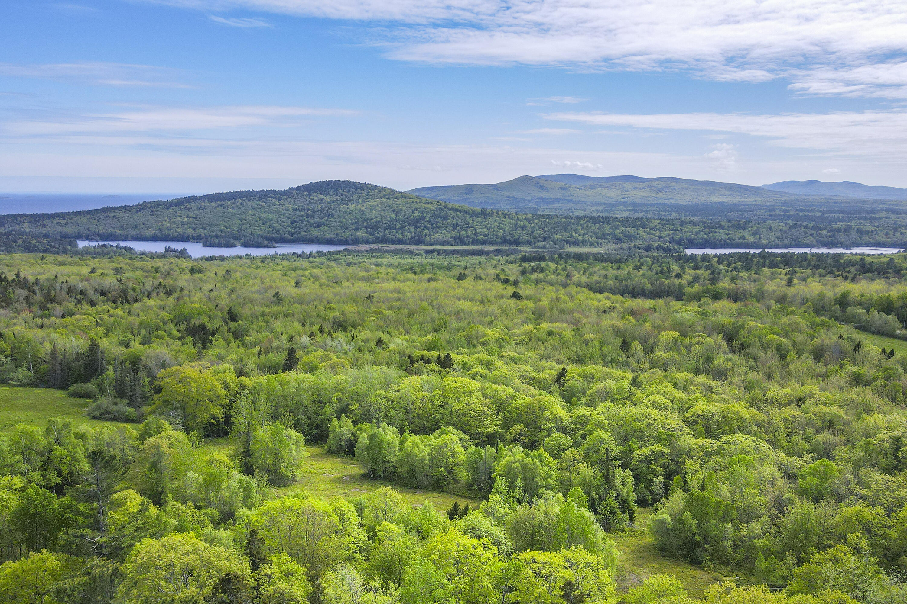 L46-part) Beech Hill Road Northport, ME 04849 - Photo 4 of 8 ME2817_4