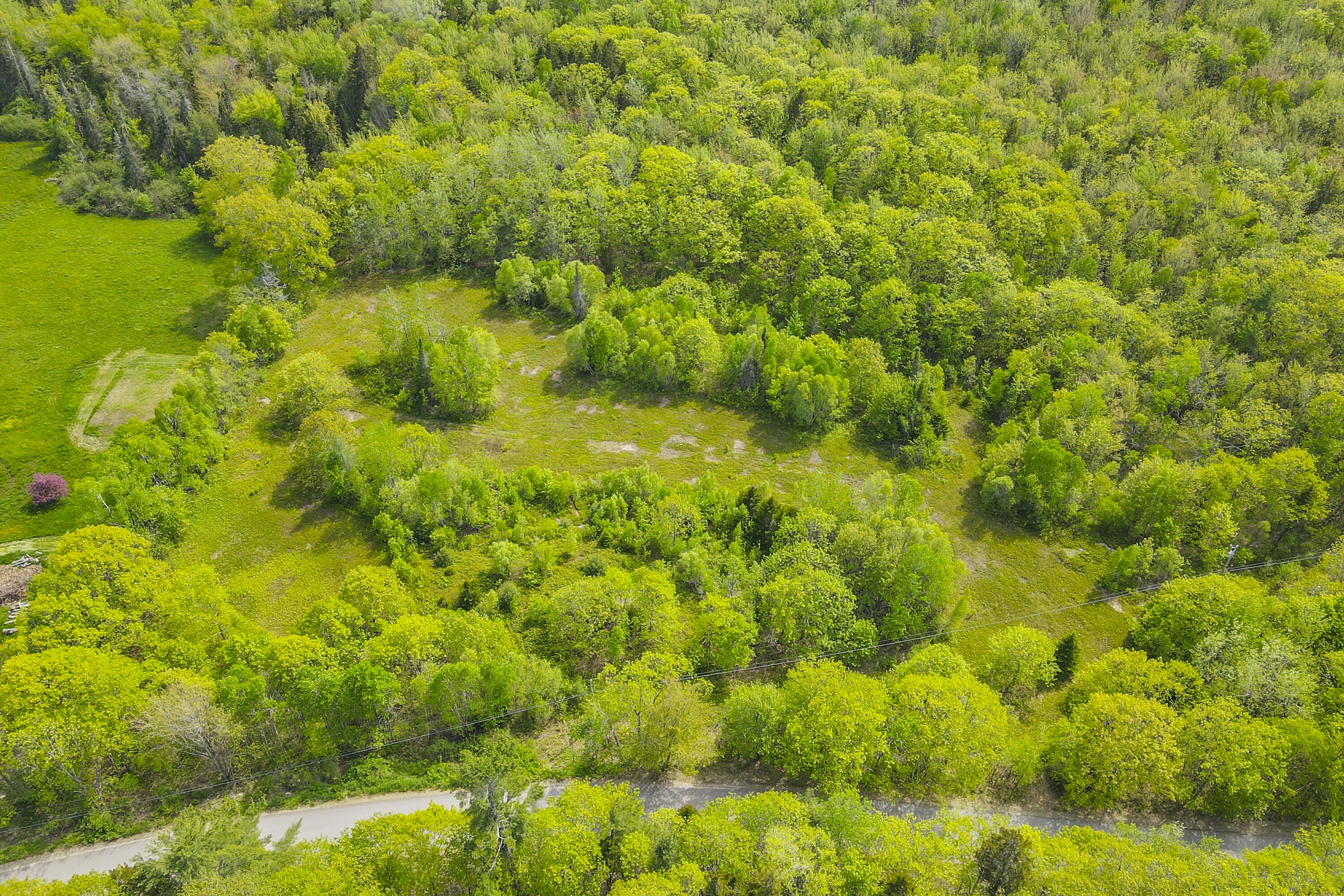 L46-part) Beech Hill Road Northport, ME 04849 - Photo 6 of 8 ME2817_5