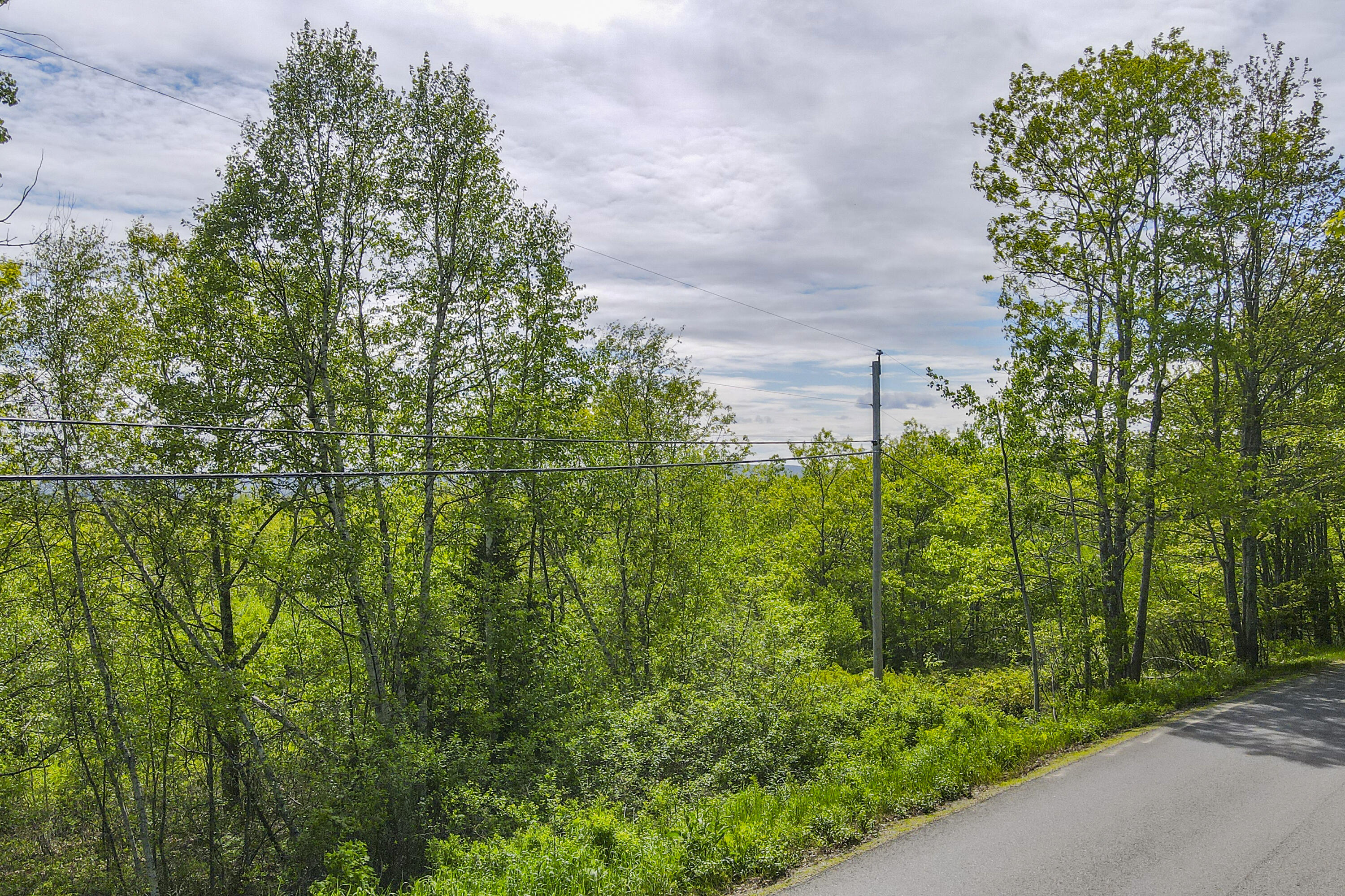 L46-part) Beech Hill Road Northport, ME 04849 - Photo 8 of 8 ME2817_6