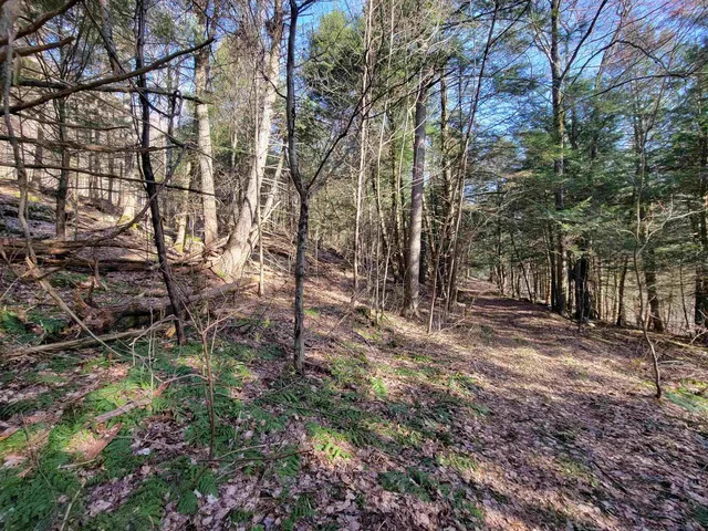 $260,000 | 1890 Bristol Road, Monkton, VT 05443