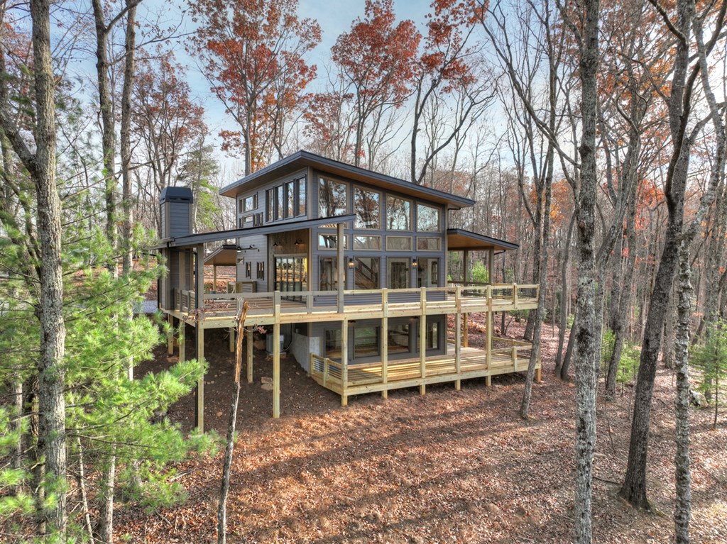 21 Mountain Trace Cherry Log, GA 30522 - Photo 2 of 49