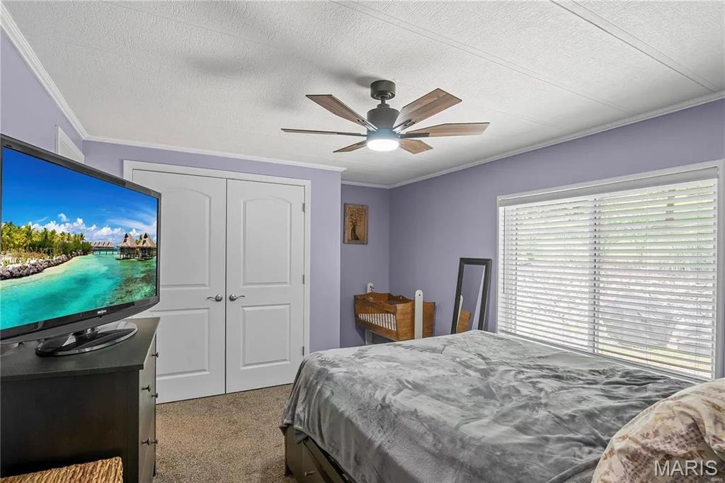 2741 Mullins Road Millstadt, IL 62260 - Photo 16 of 50