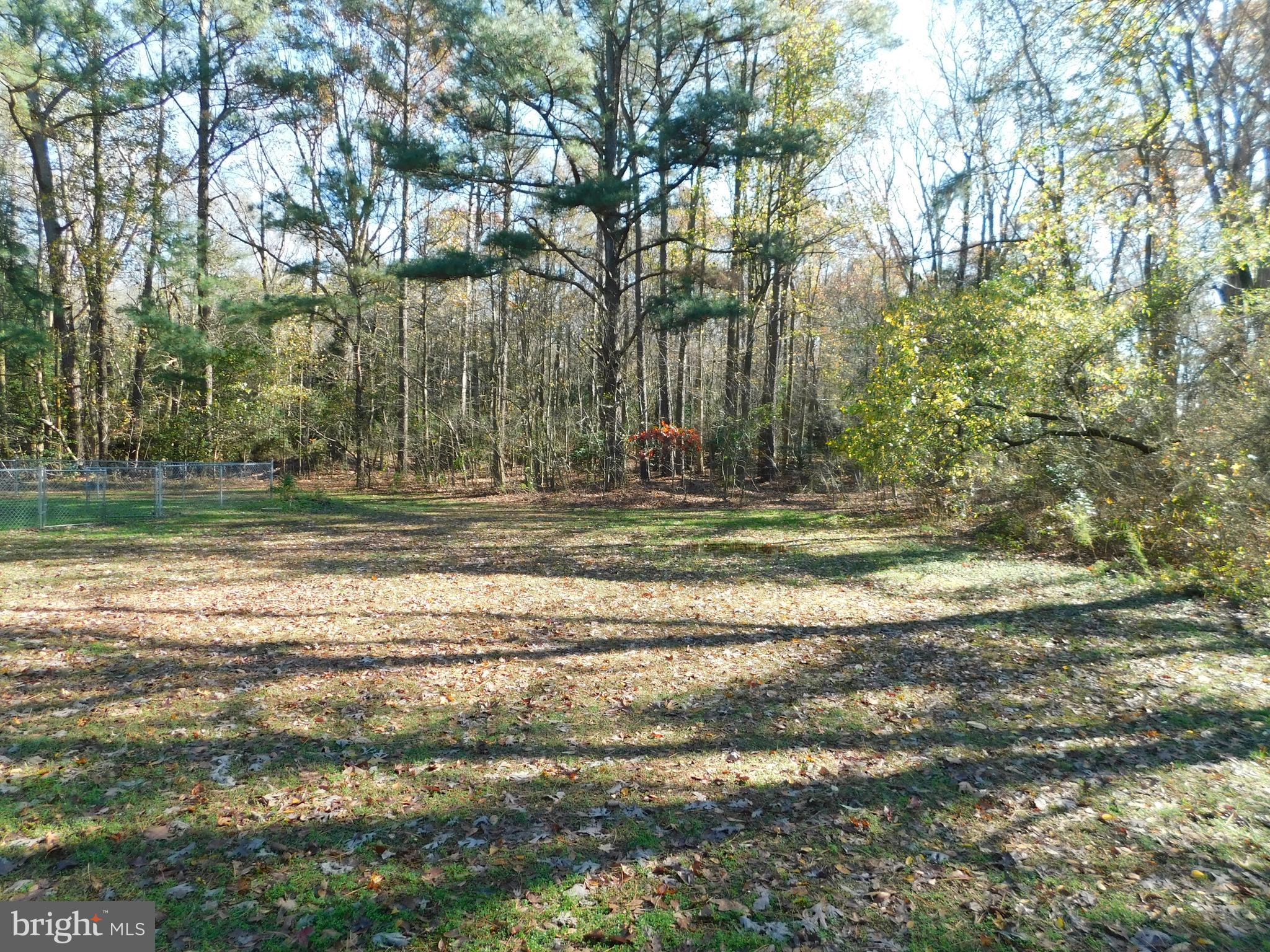 14812 Pepperbox Road Delmar, DE 19940 - Photo 7 of 30