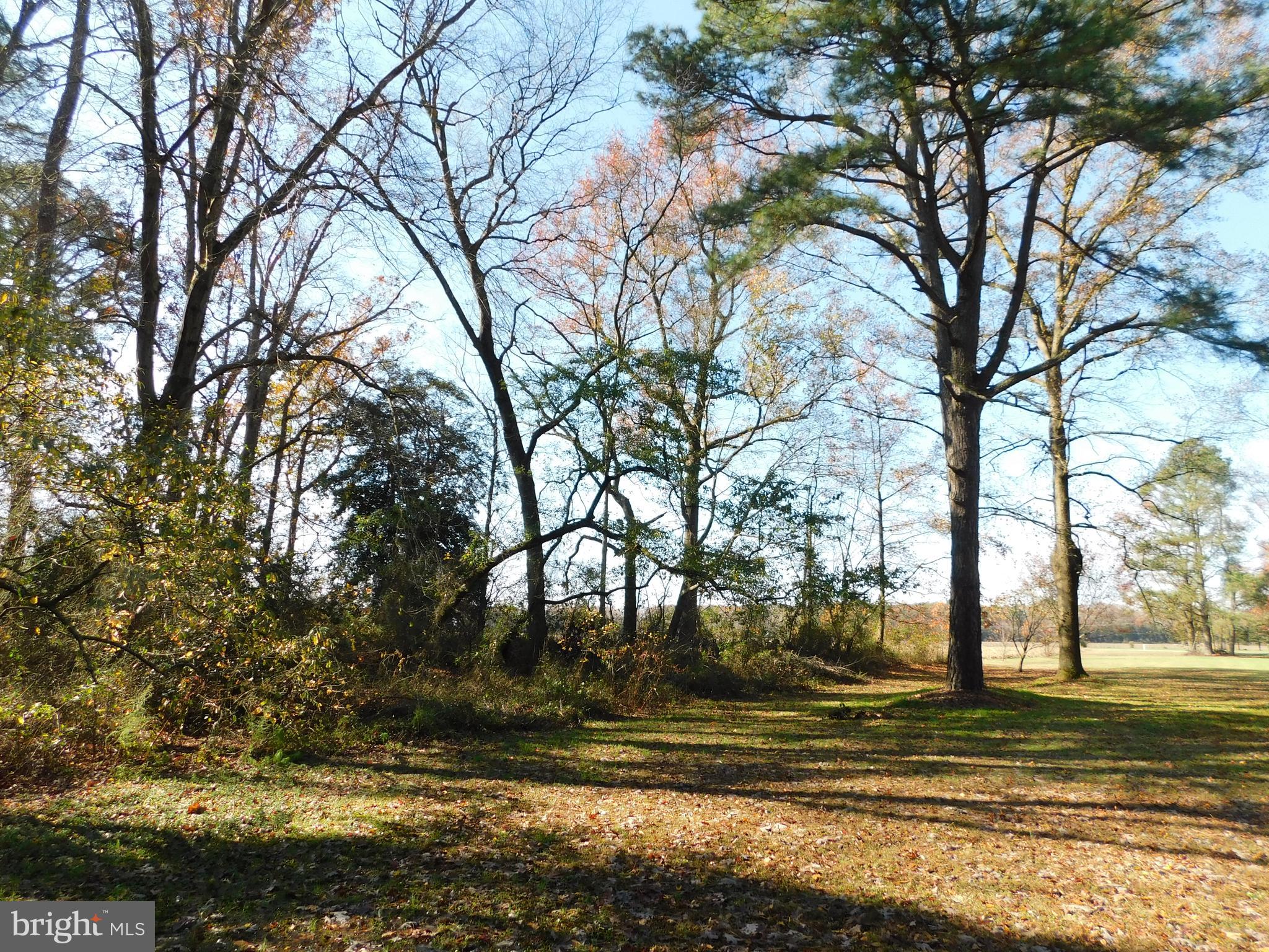 14812 Pepperbox Road Delmar, DE 19940 - Photo 8 of 30