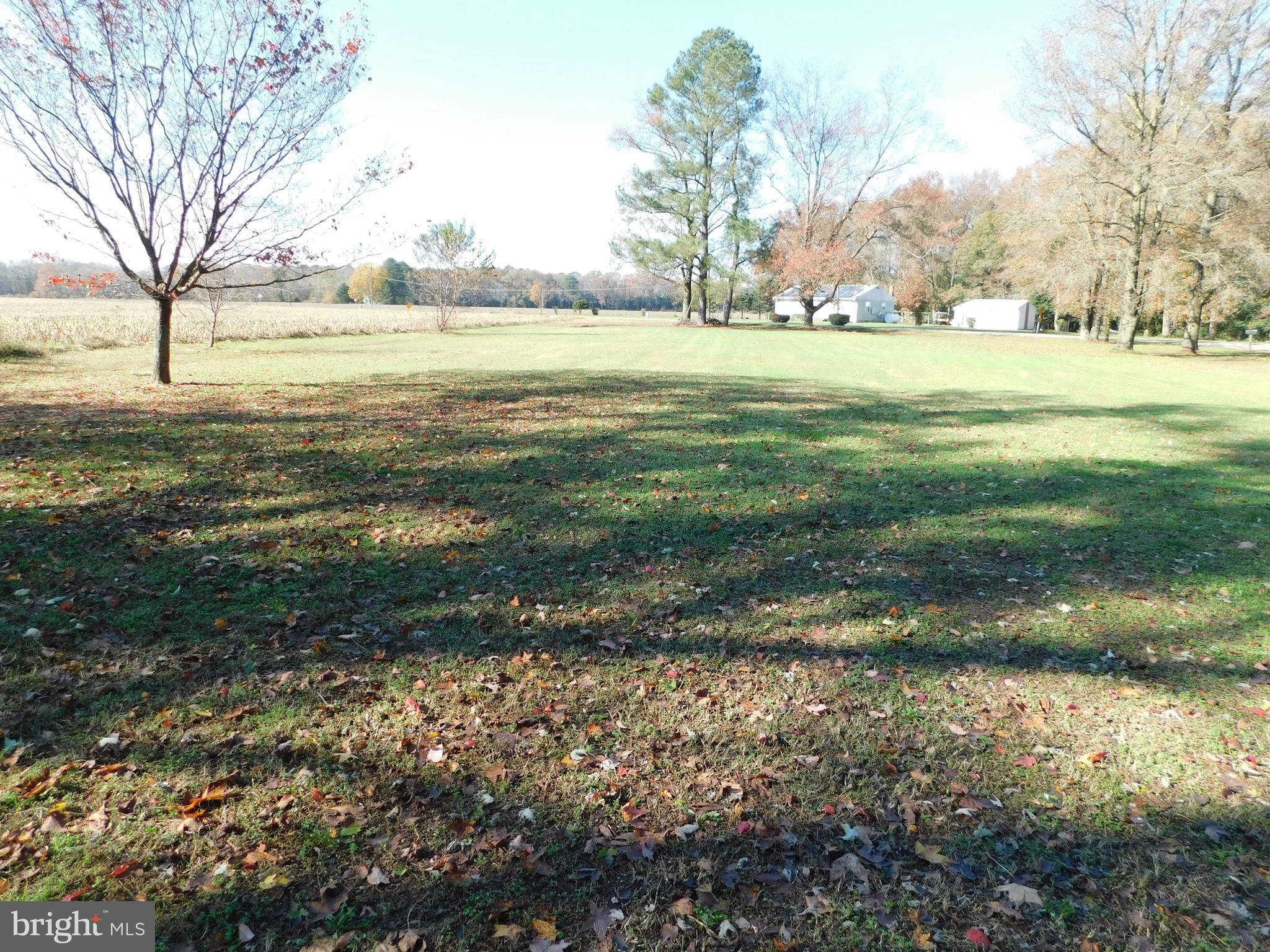 14812 Pepperbox Road Delmar, DE 19940 - Photo 9 of 30