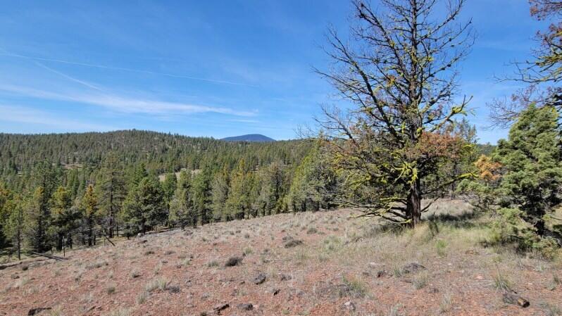 1315 Lofton Creek Road Prineville, OR 97754 - Photo 26 of 61 image000002 (2)