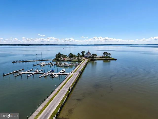 a view of a water with boats and trees in the background