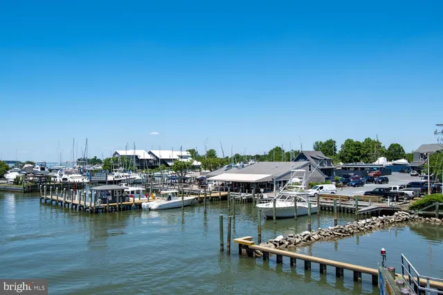 a view of a lake with boats and trees in the background