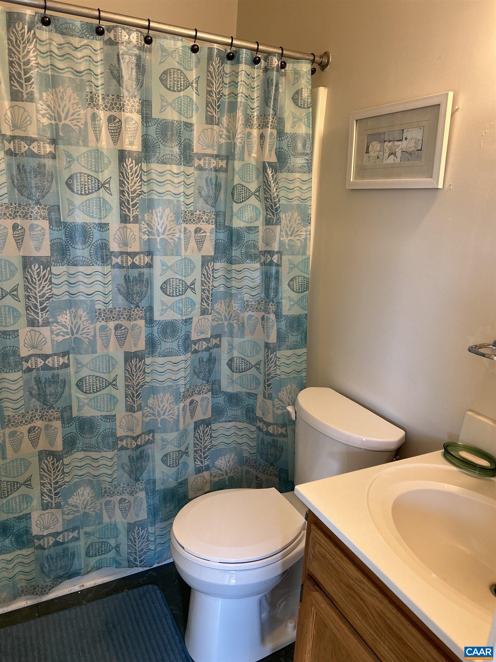 340 Riverside Avenue Charlottesville, VA 22902 - Photo 16 of 17 a bathroom with a toilet and a shower