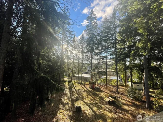 a view of outdoor space with lots of trees