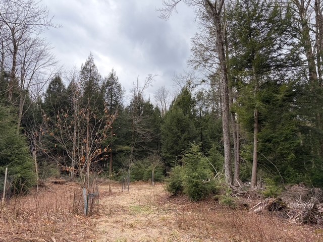 Pritchard Road Springville, NY 14141 - Photo 12 of 23