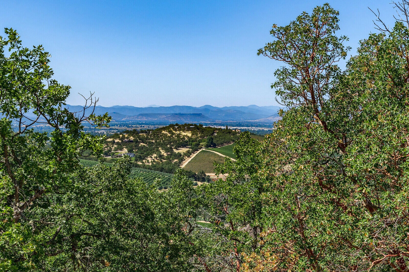 4922 Pioneer Road Medford, OR 97501 - Photo 63 of 70 Views from upstairs patio