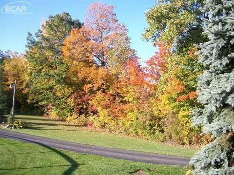 4348 Phillips Road Metamora, MI 48455 - Photo 34 of 95 20429795-33.JPG