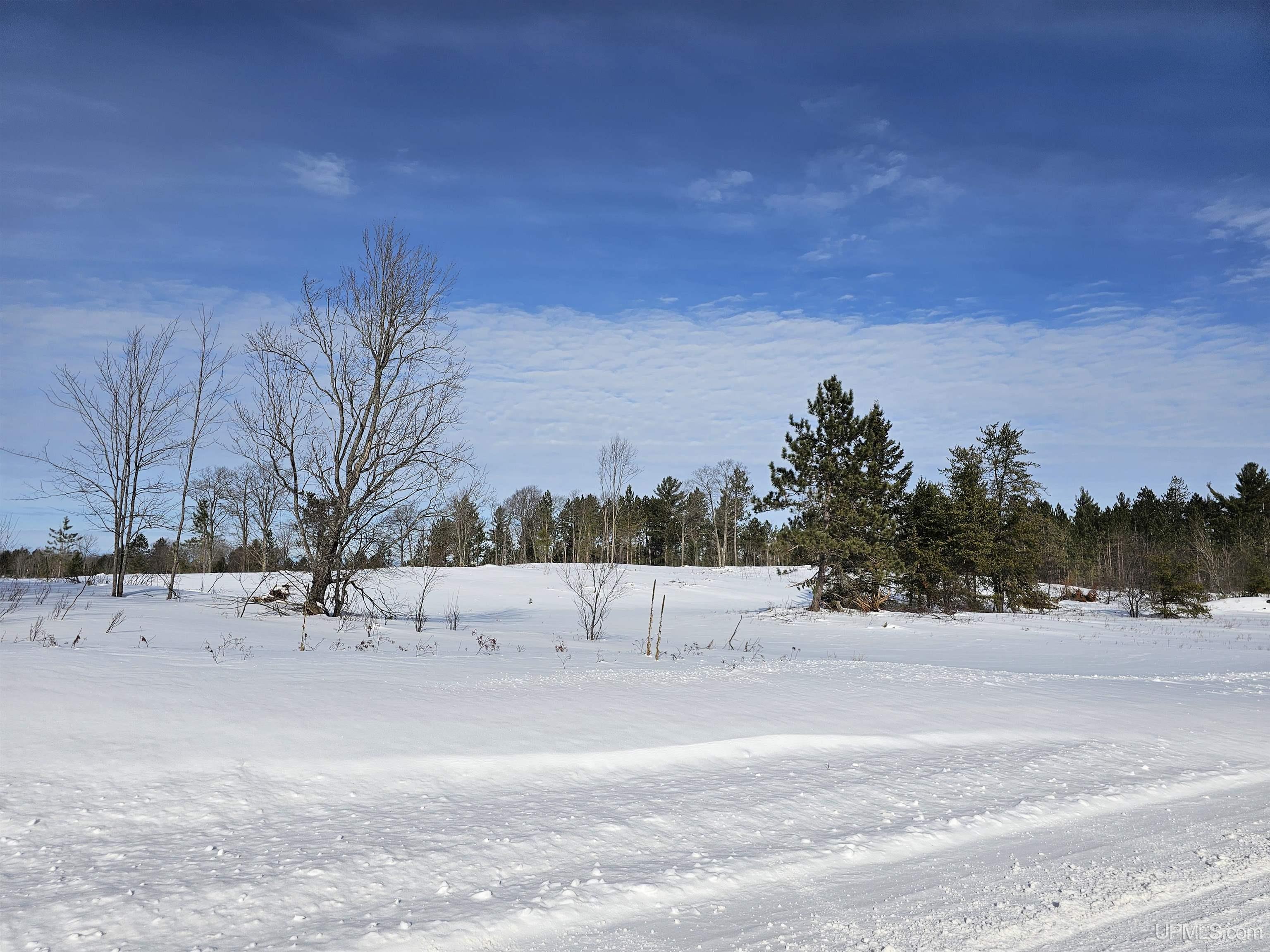 80 Acres Off Co Road Ishpeming, MI 49849 - Photo 4 of 5