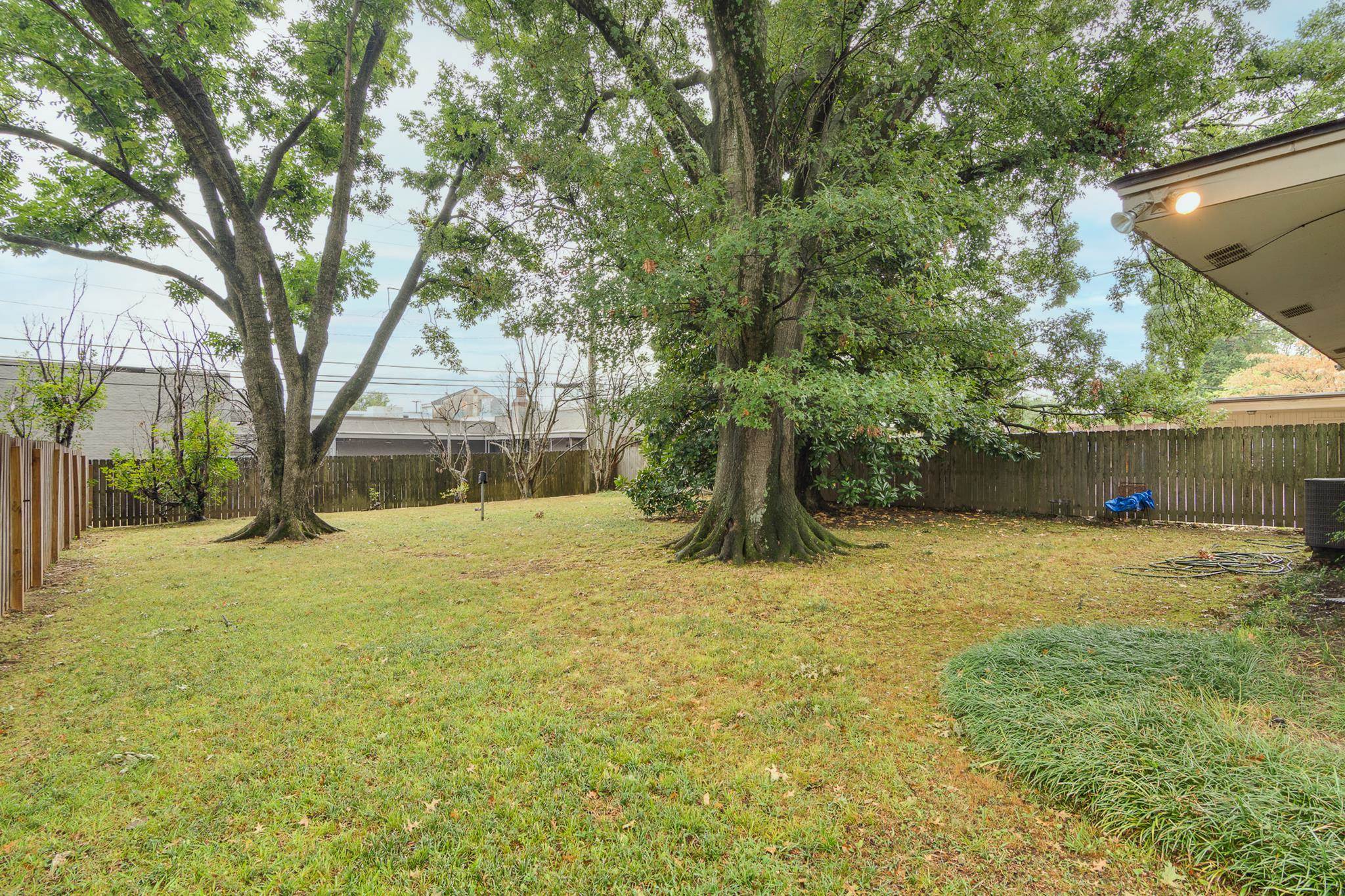 4563 Aldersgate Road Memphis, TN 38117 - Photo 21 of 22 a view of a yard with a tree
