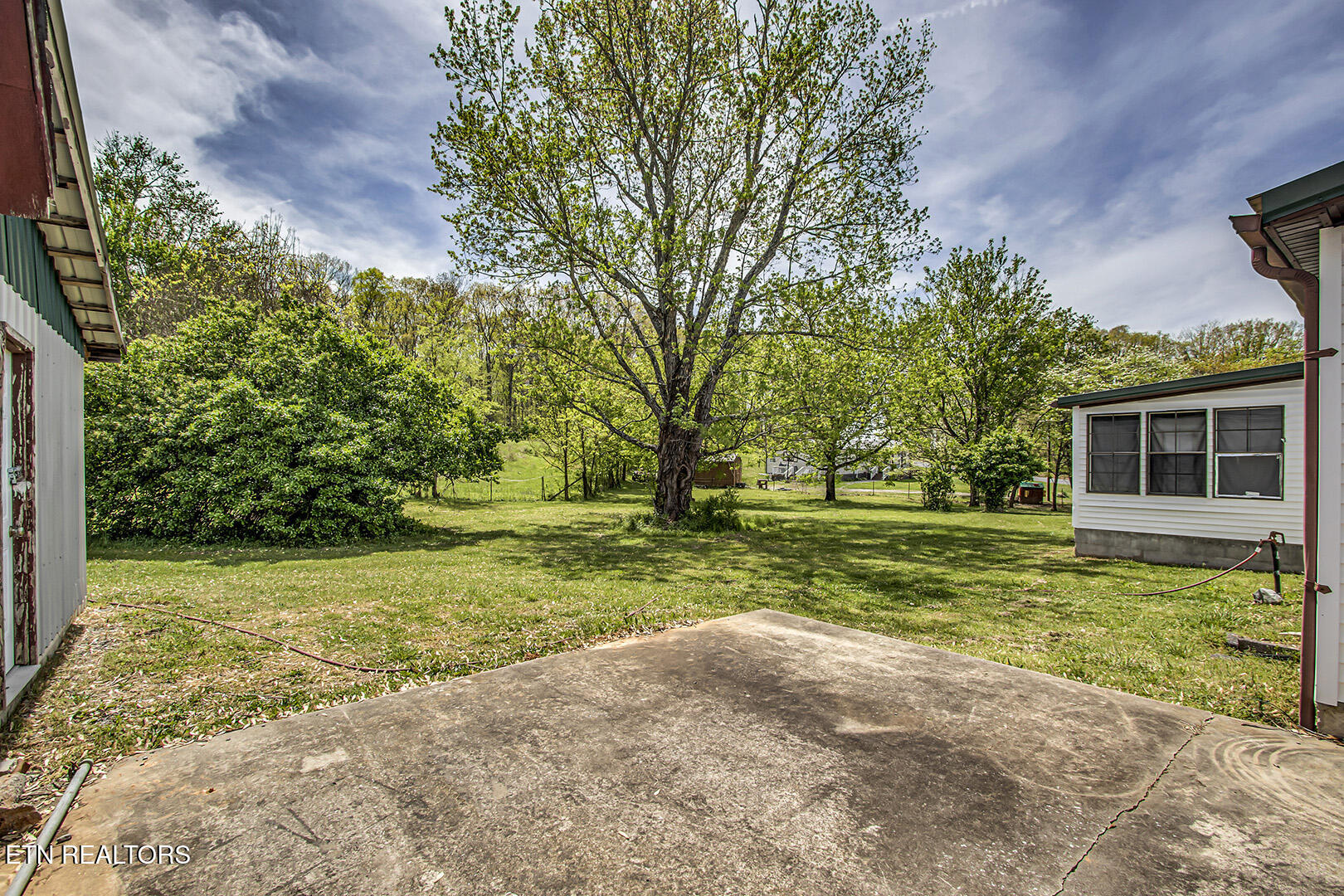 223 Reed Road Ten Mile, TN 37880 - Photo 12 of 37 12_ReedRoad_223_Patio-Backyard