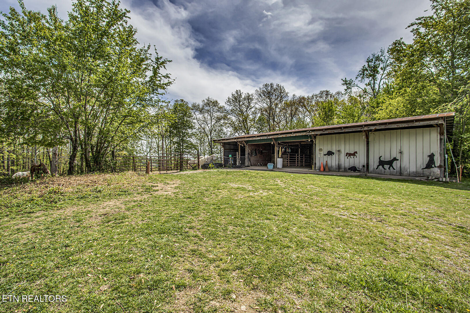 223 Reed Road Ten Mile, TN 37880 - Photo 18 of 37 18_ReedRoad_223_Stables01