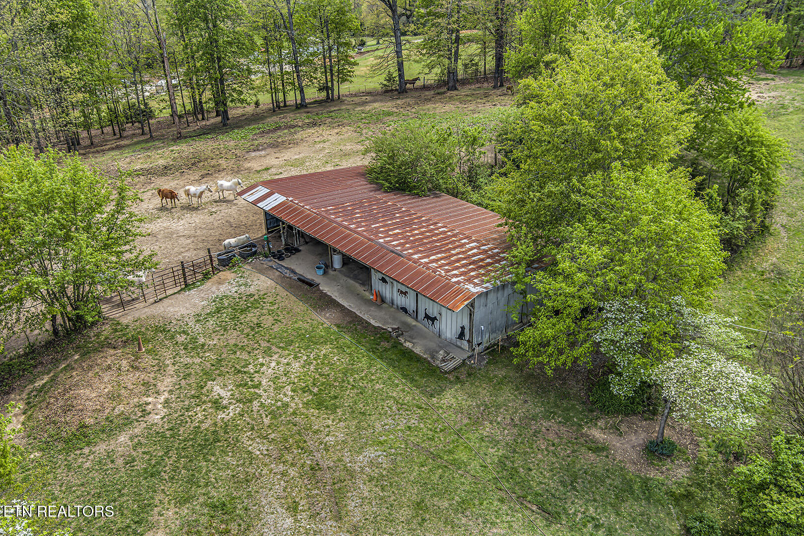 223 Reed Road Ten Mile, TN 37880 - Photo 19 of 37 19_ReedRoad_223_StablesElevated