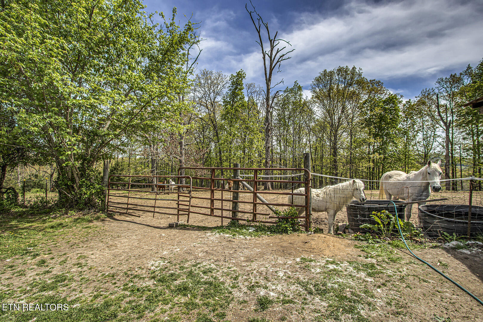 223 Reed Road Ten Mile, TN 37880 - Photo 20 of 37 20_ReedRoad_223_Paddock