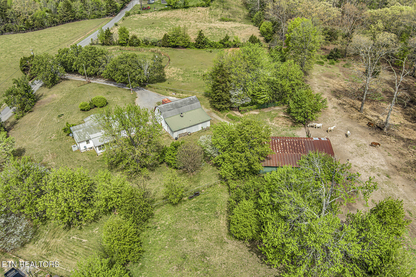 223 Reed Road Ten Mile, TN 37880 - Photo 24 of 37 24_ReedRoad_223_Home-Garage-StablesEleva