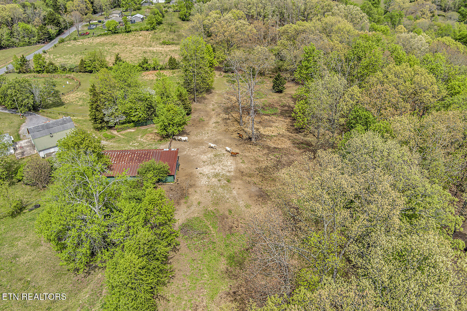 223 Reed Road Ten Mile, TN 37880 - Photo 27 of 37 27_ReedRoad_223_Paddock-StablesElevated0