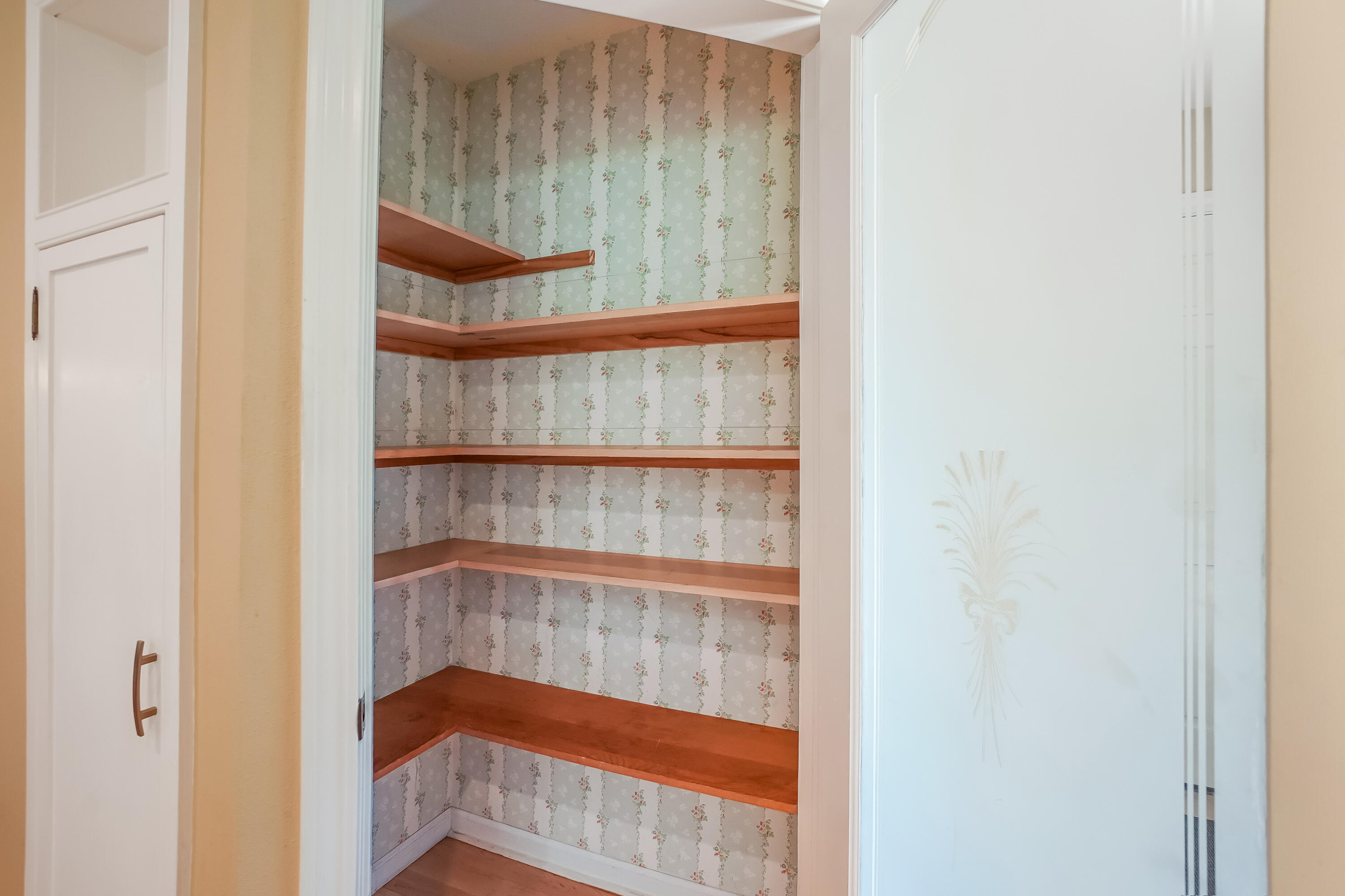 12800 Elmwood Road Elm Grove, WI 53122 - Photo 27 of 41 Pantry