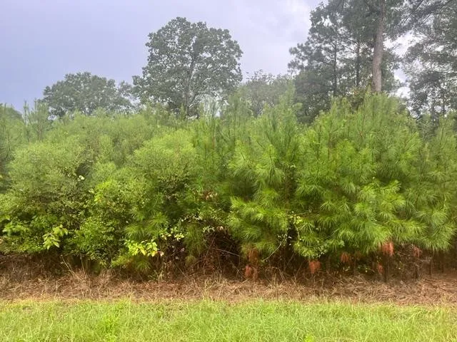 $20,000 | X Wild Estate, McComb, MS 39648