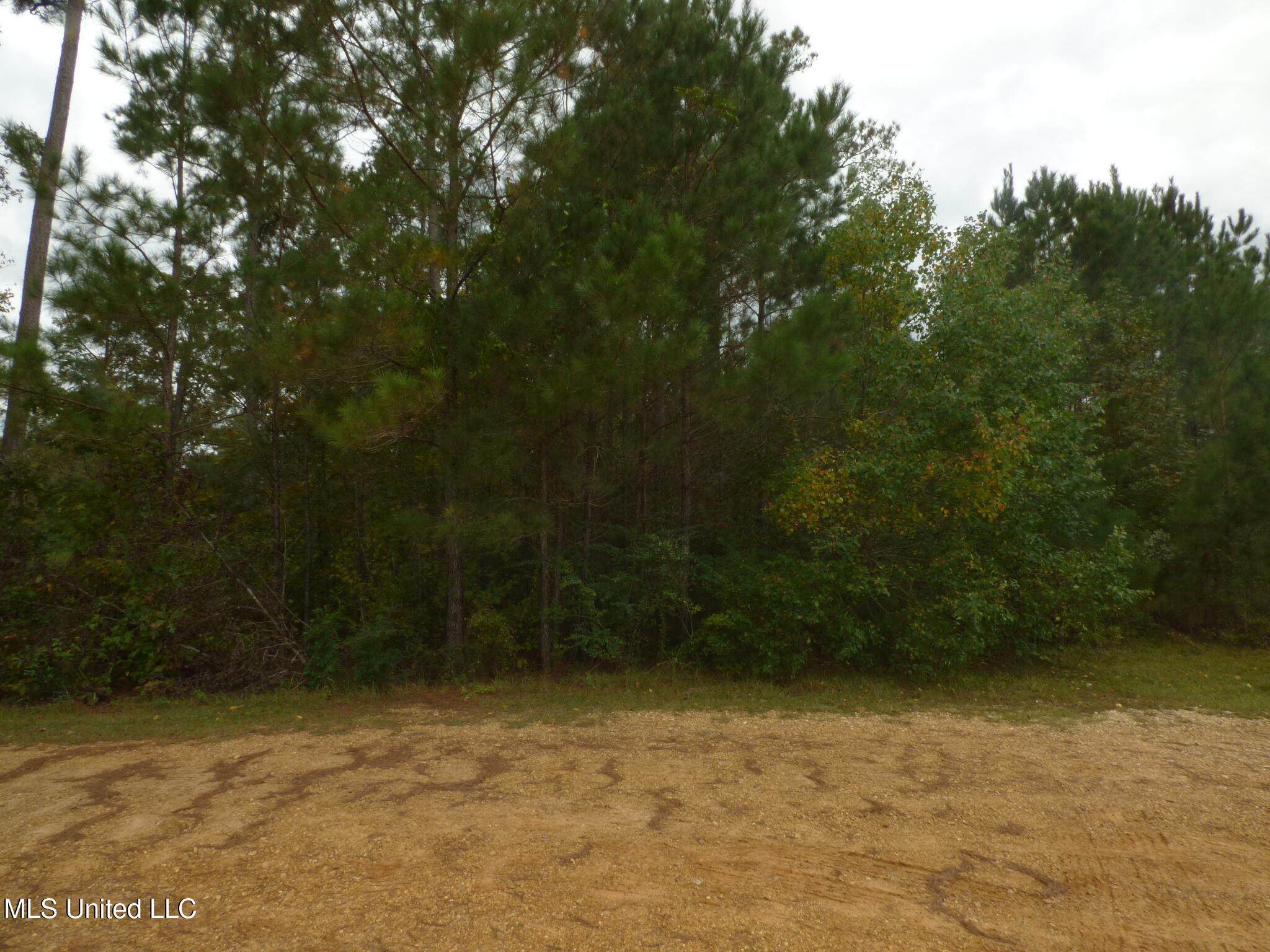 X Wild Estate McComb, MS 39648 - Photo 4 of 8 P1330985