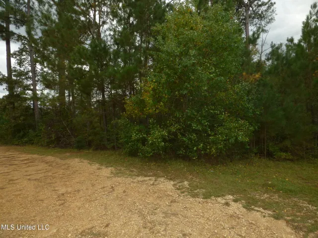 $20,000 | X Wild Estate, McComb, MS 39648