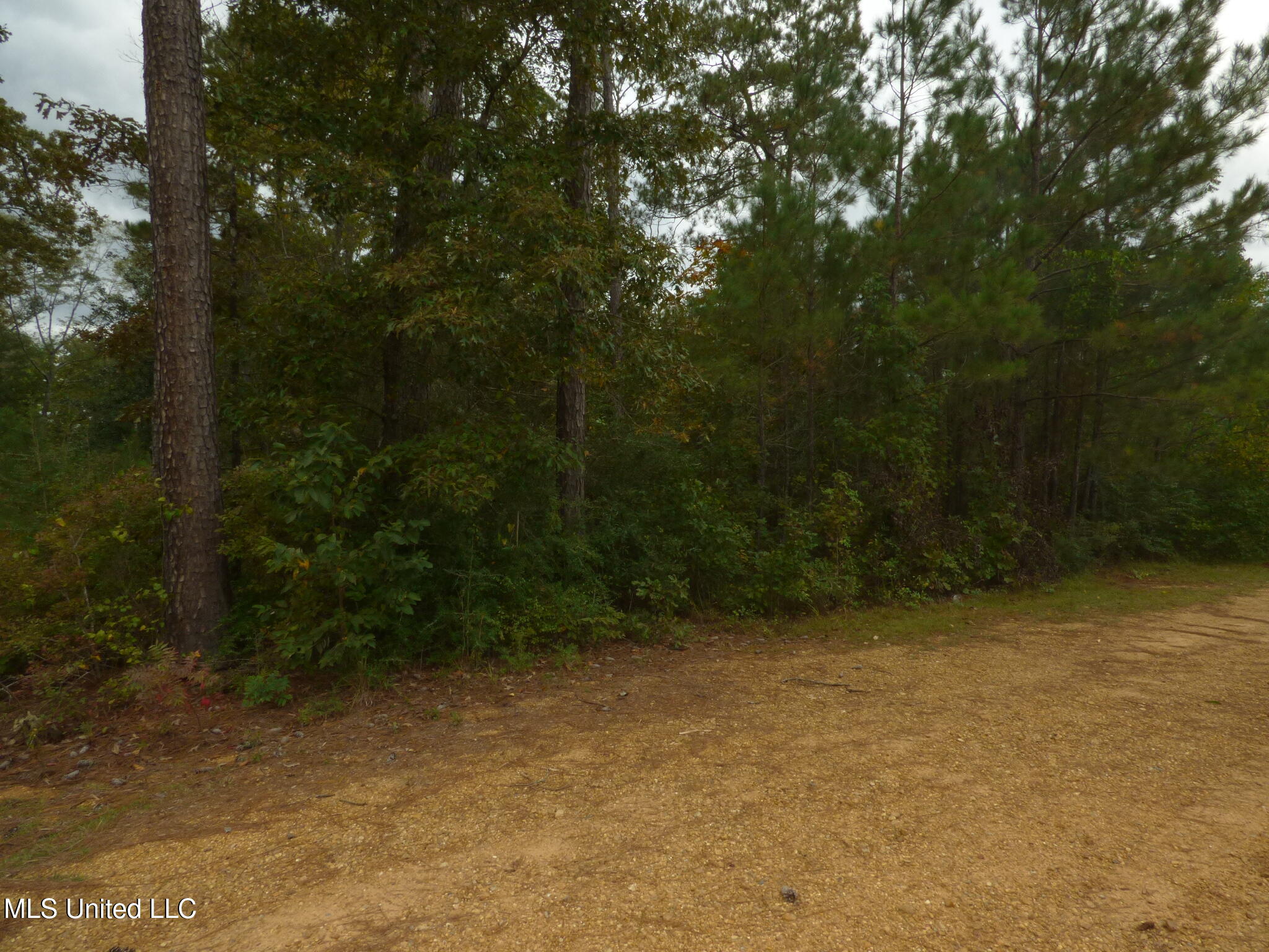 X Wild Estate McComb, MS 39648 - Photo 6 of 8 P1330987