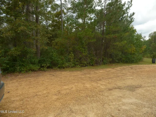 $20,000 | X Wild Estate, McComb, MS 39648