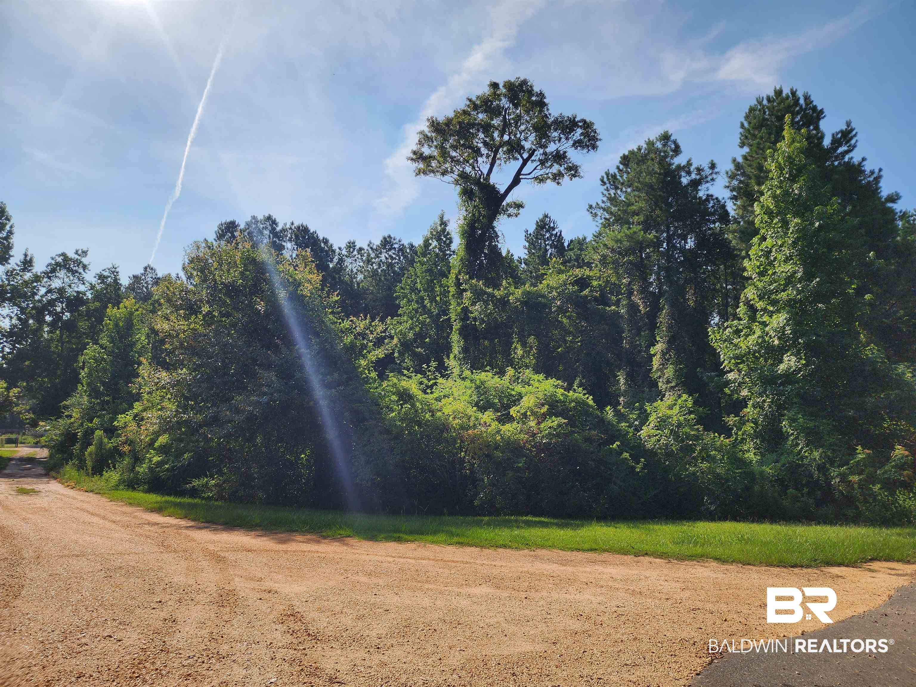 0 Lowery Road Atmore, AL 36502 - Photo 25 of 28