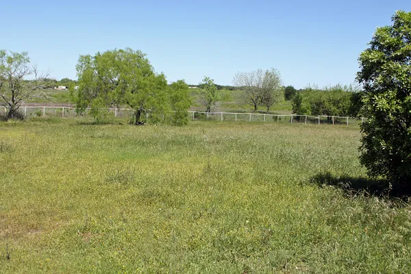 a view of a field with trees in the background
