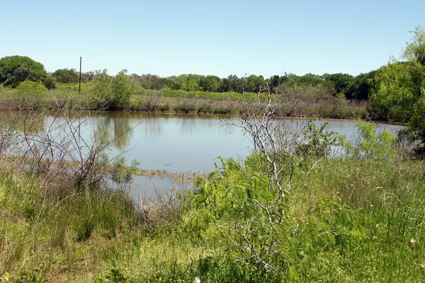 a view of a lake in middle of forest