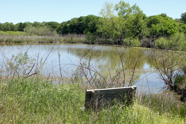 a view of a lake from a yard