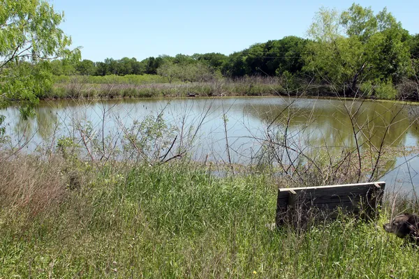 a view of a lake with a yard and large trees
