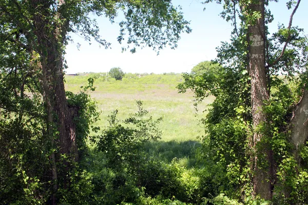 a view of lake with green space
