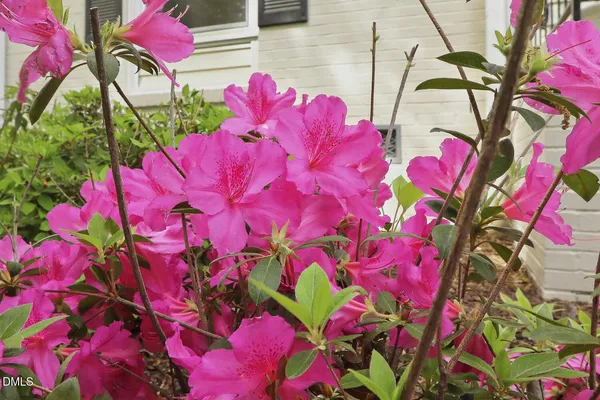 $475,000 | 200 Brandon Court, Raleigh, NC 27609