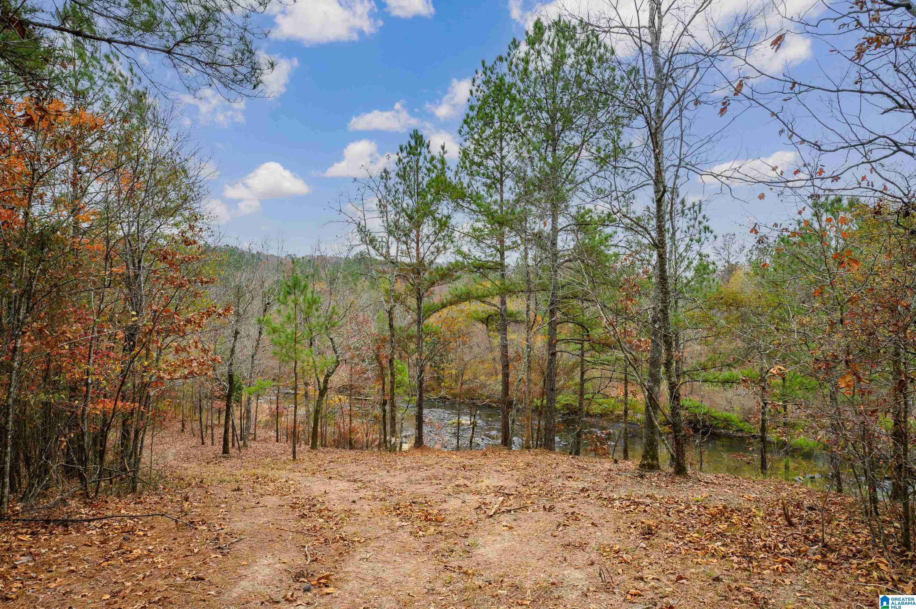 8799 Shades Fall Way, Unit 2 Bessemer, AL 35022 - Photo 21 of 45
